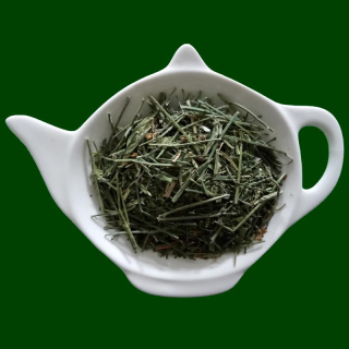 PRÁVENKA LATNATÁ - ANDROGRAPHIS - nať sypaný bylinný čaj | Centrum bylin