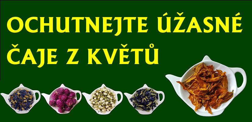 test-banner-kvety.jpg